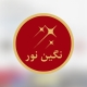 صنایع روشنایی نگین نور